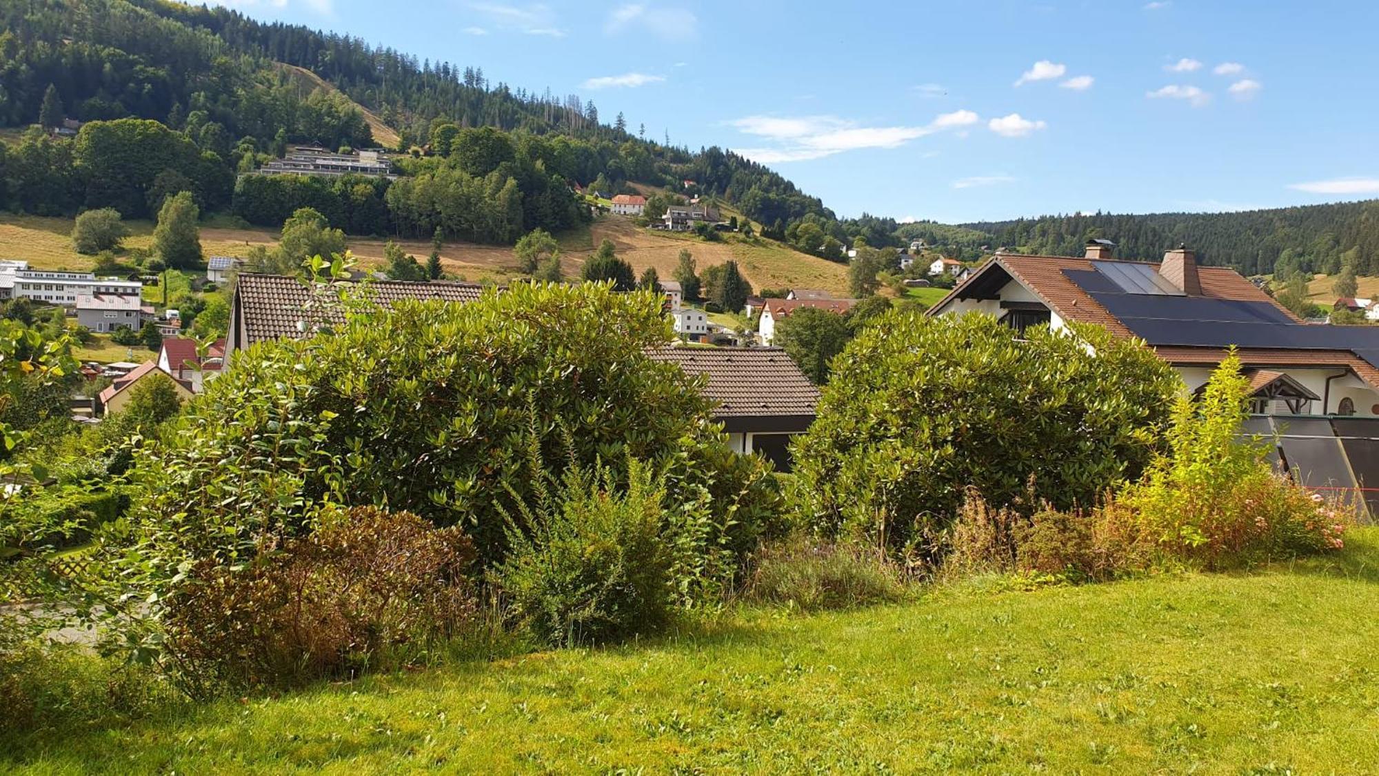 Green Hills Holiday House Warmensteinach Exteriér fotografie